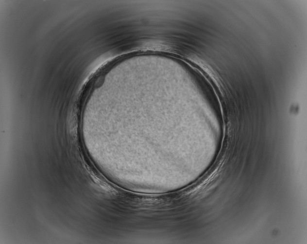 X0000099941115200806201114