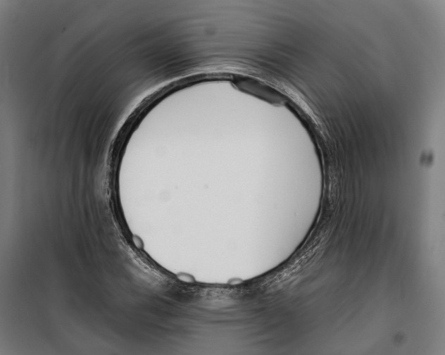 X0000099941116200806201114