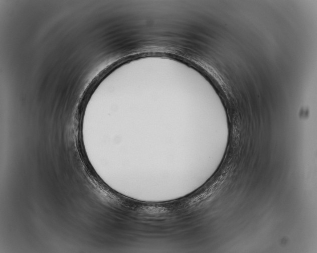 X0000099941119200806201114