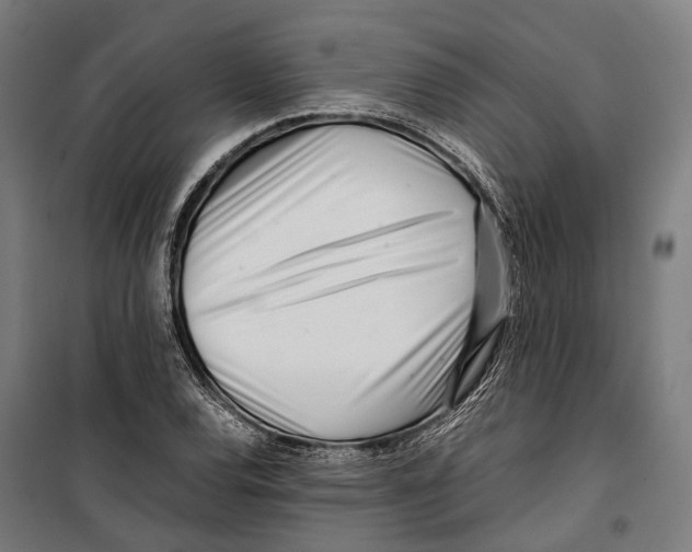 X0000099941120200806201114