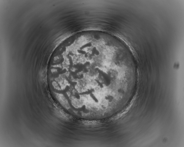 X0000099941121200806201114