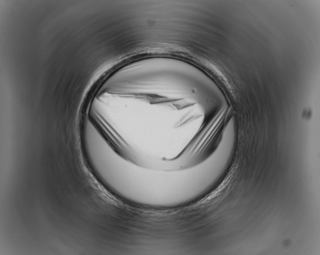 X0000099941122200806201114