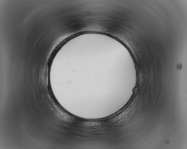 X0000099941123200806201114
