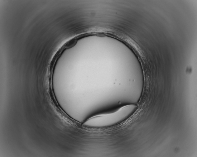 X0000099941124200806201114