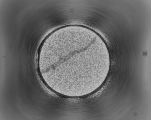 X0000099941126200806201114