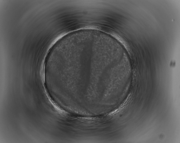 X0000099941127200806201114