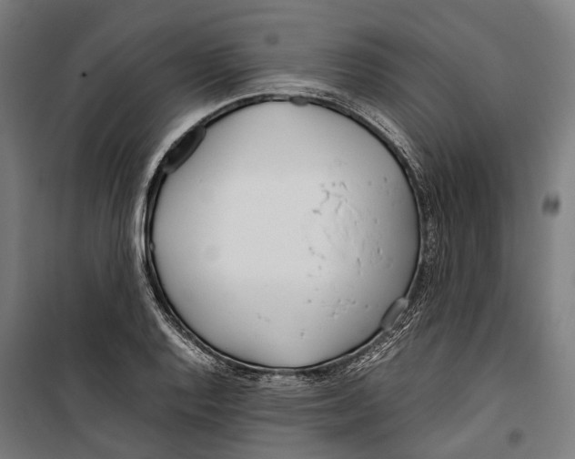 X0000099941128200806201114