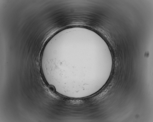 X0000099941129200806201114