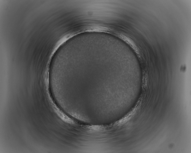 X0000099941130200806201114
