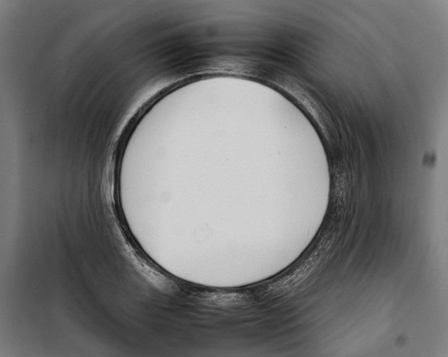 X0000099941131200806201114