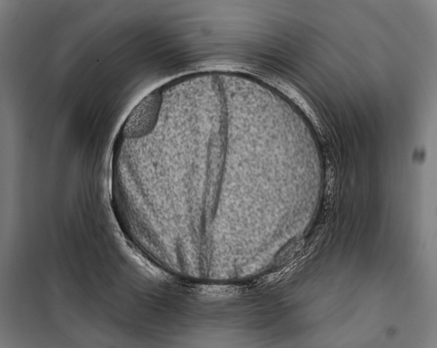 X0000099941132200806201114