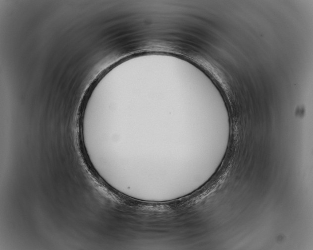 X0000099941133200806201114