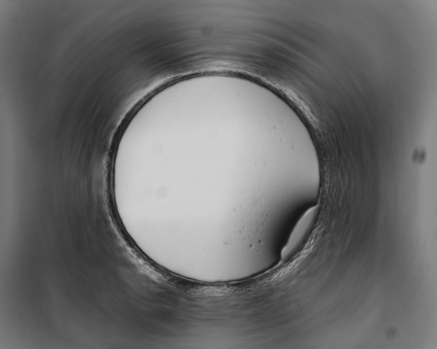 X0000099941134200806201114