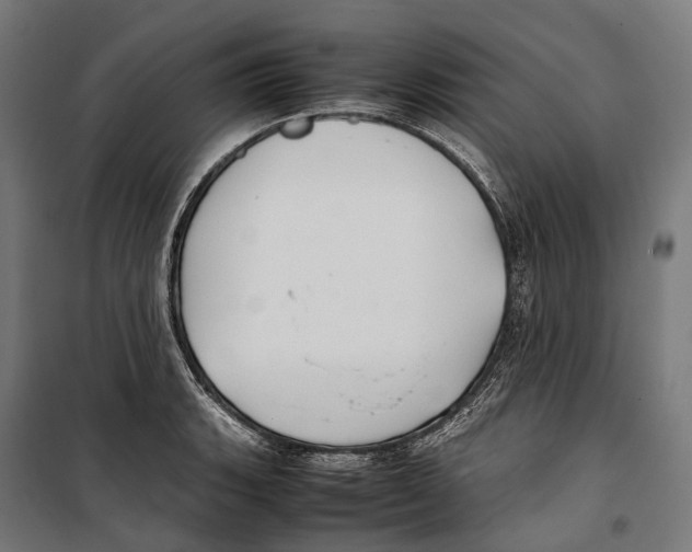 X0000099941135200806201114