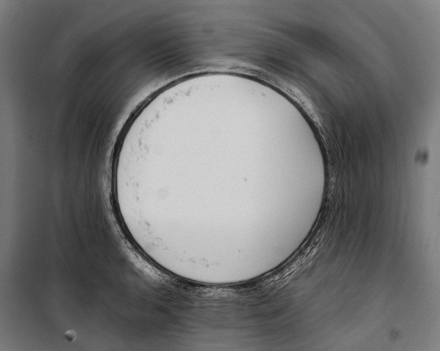 X0000099941136200806201114