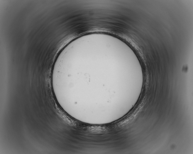 X0000099941137200806201114