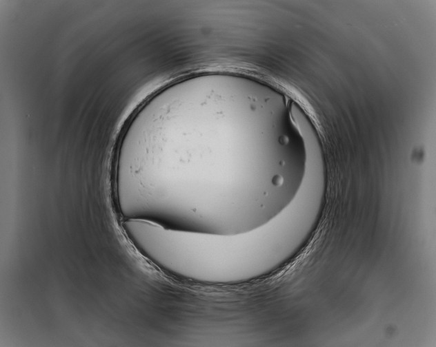 X0000099941138200806201114
