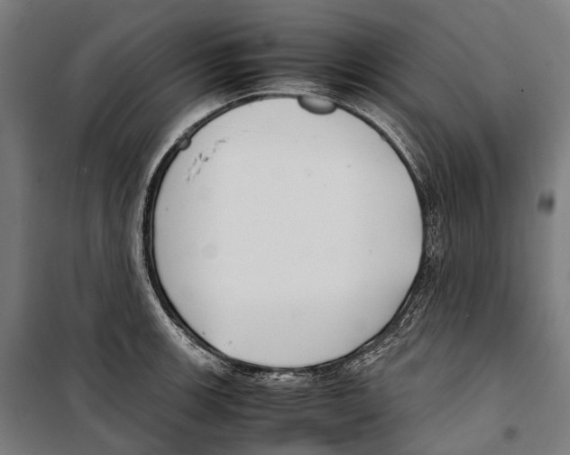 X0000099941139200806201114