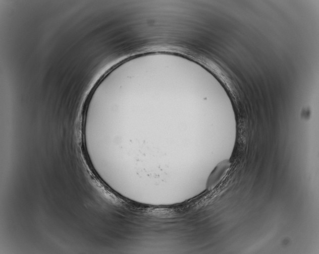 X0000099941140200806201114