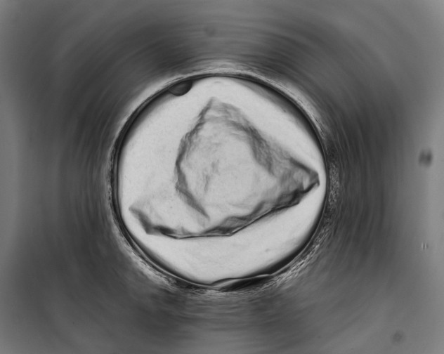 X0000099941142200806201114