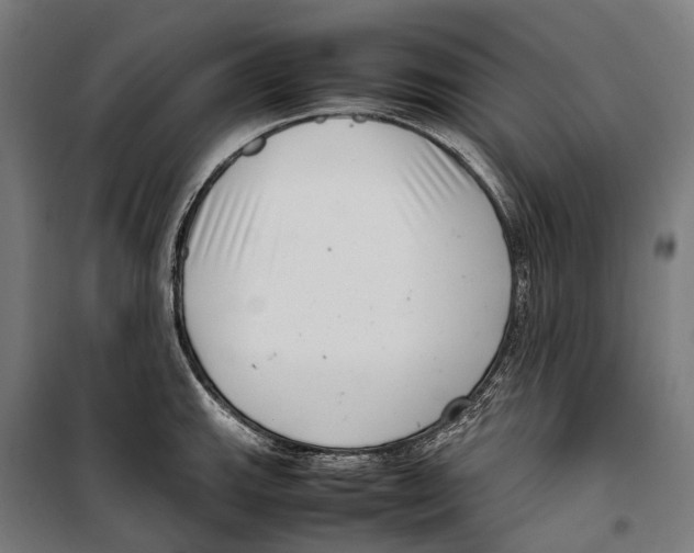 X0000099941143200806201114