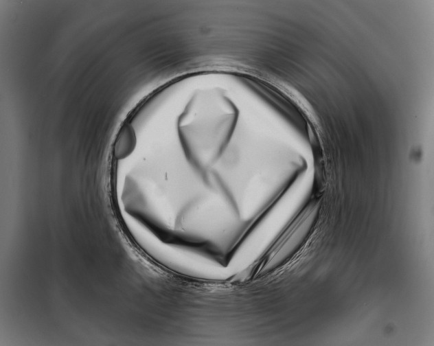 X0000099941144200806201114