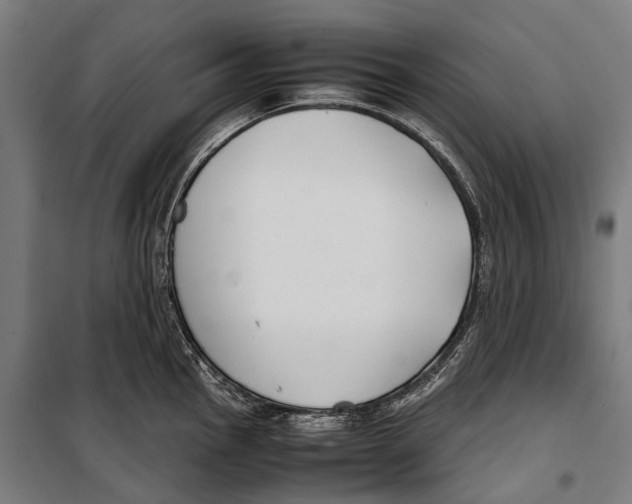 X0000099941145200806201114