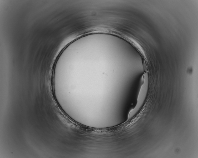 X0000099941146200806201114