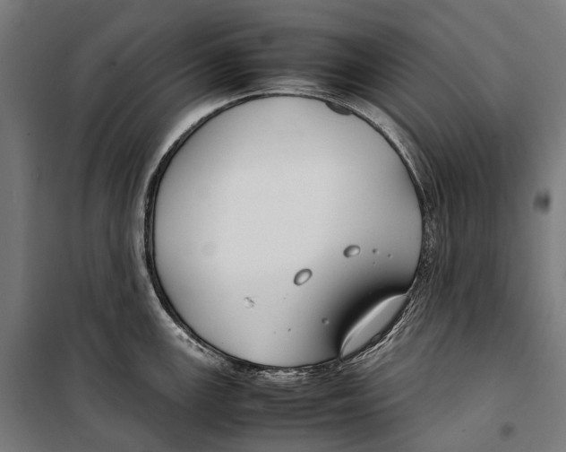 X0000099941147200806201114