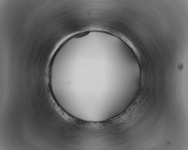 X0000099941148200806201114
