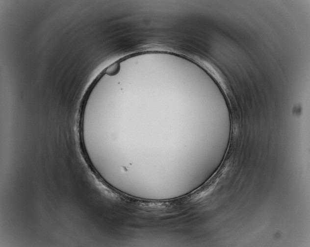 X0000099941149200806201114