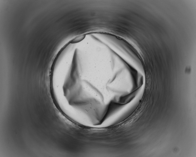 X0000099941151200806201114