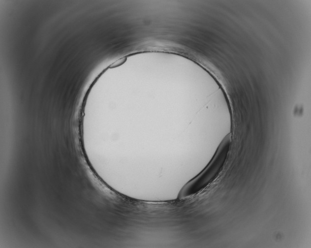 X0000099941152200806201114