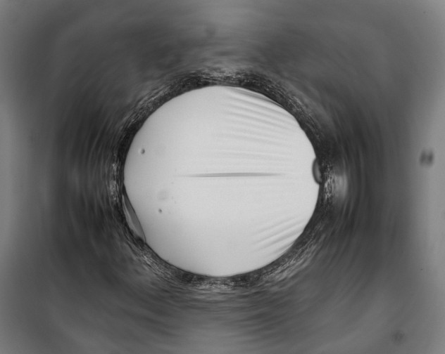 X0000099941156200806201113