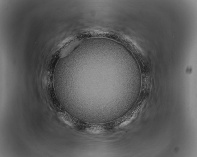 X0000099941157200806201113