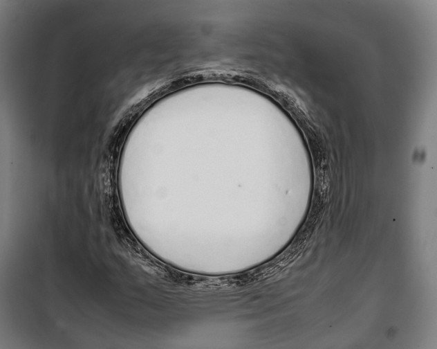 X0000099941159200806201113