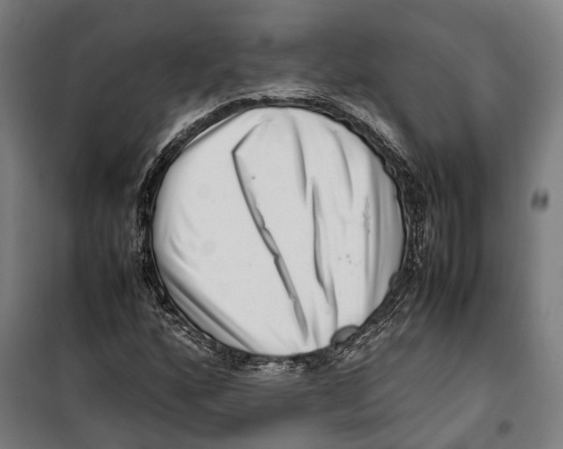 X0000099941160200806201113