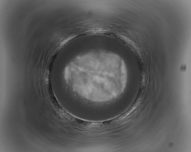 X0000099941161200806201113