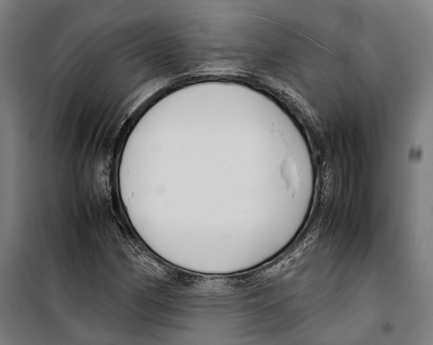 X0000099941162200806201113