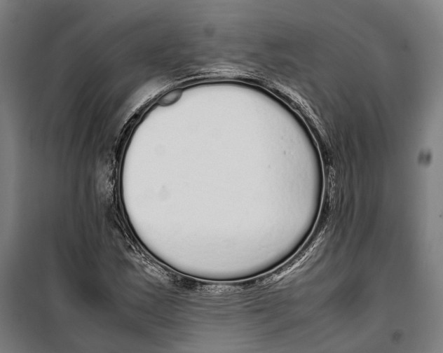 X0000099941163200806201113