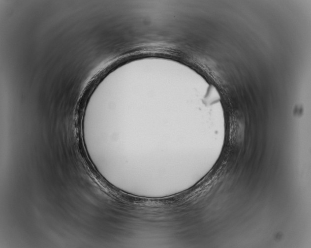 X0000099941164200806201113