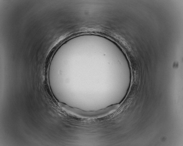 X0000099941165200806201113