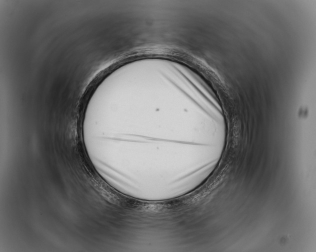 X0000099941166200806201113