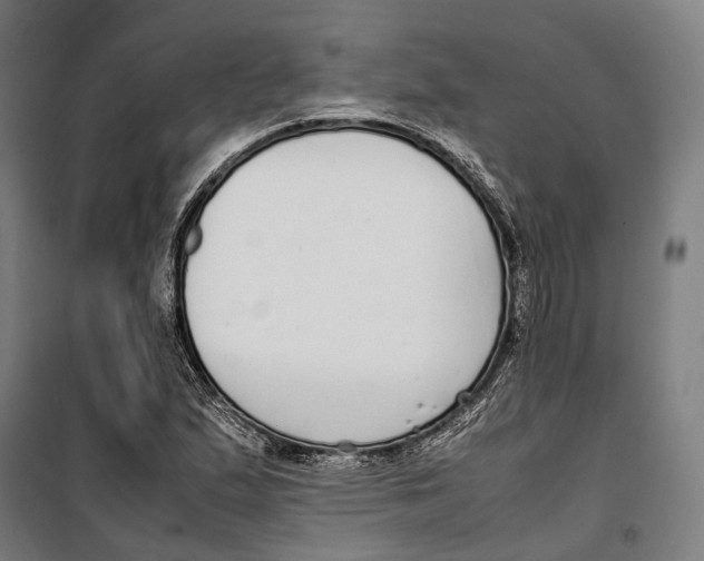 X0000099941167200806201113
