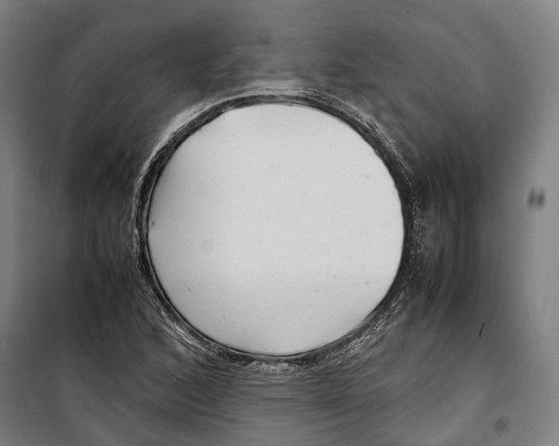 X0000099941168200806201113