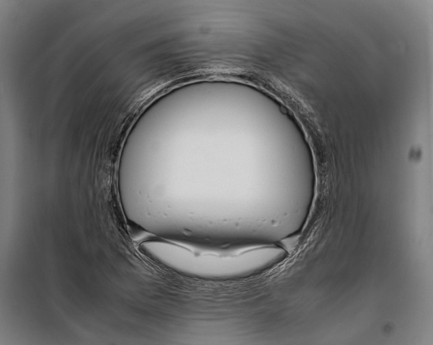 X0000099941169200806201113