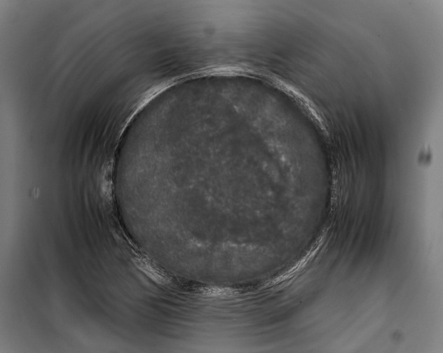 X0000099941170200806201113