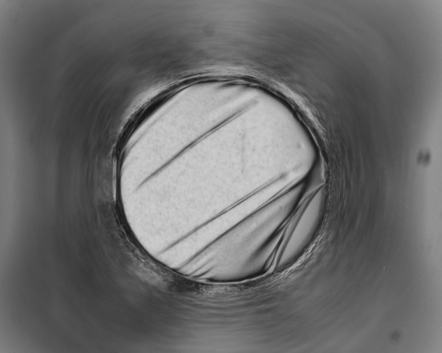X0000099941171200806201113