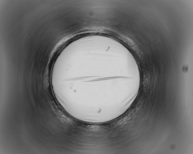 X0000099941172200806201113