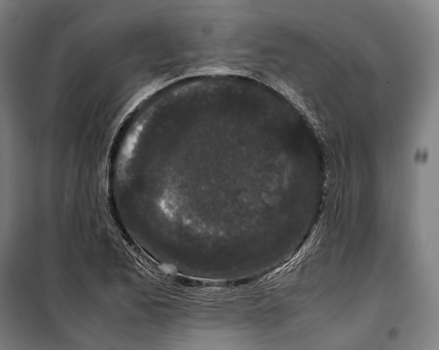 X0000099941173200806201113